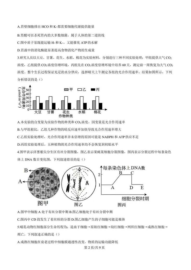 2024～2025学年山西省吕梁市高三上期末考试生物试卷(含答案)第3页