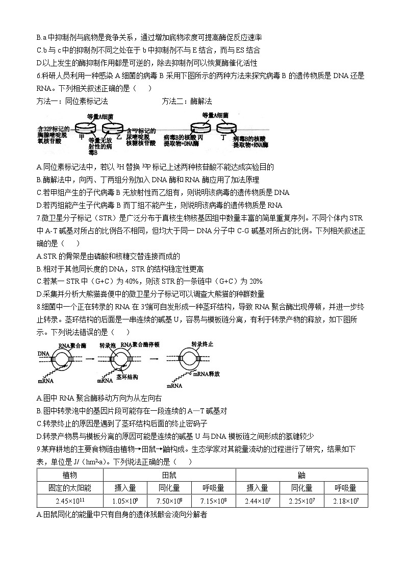 2025扬州高邮高三下学期开学考试生物含答案第2页
