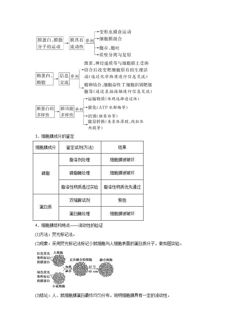高中生物实战高考一轮复习第4讲细胞膜和细胞核试题含答案第3页