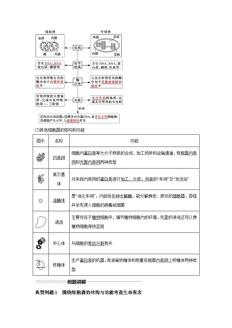 高中生物实战高考一轮复习第5讲细胞器和生物膜系统试题含答案第2页