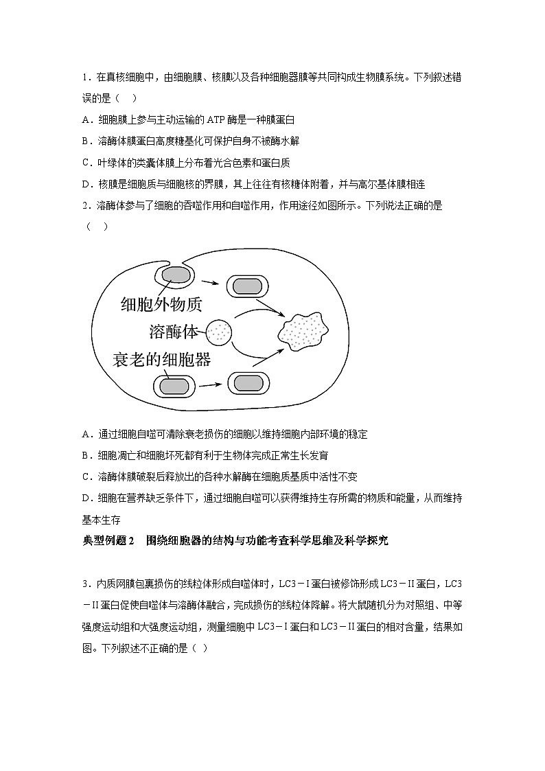 高中生物实战高考一轮复习第5讲细胞器和生物膜系统试题含答案第3页