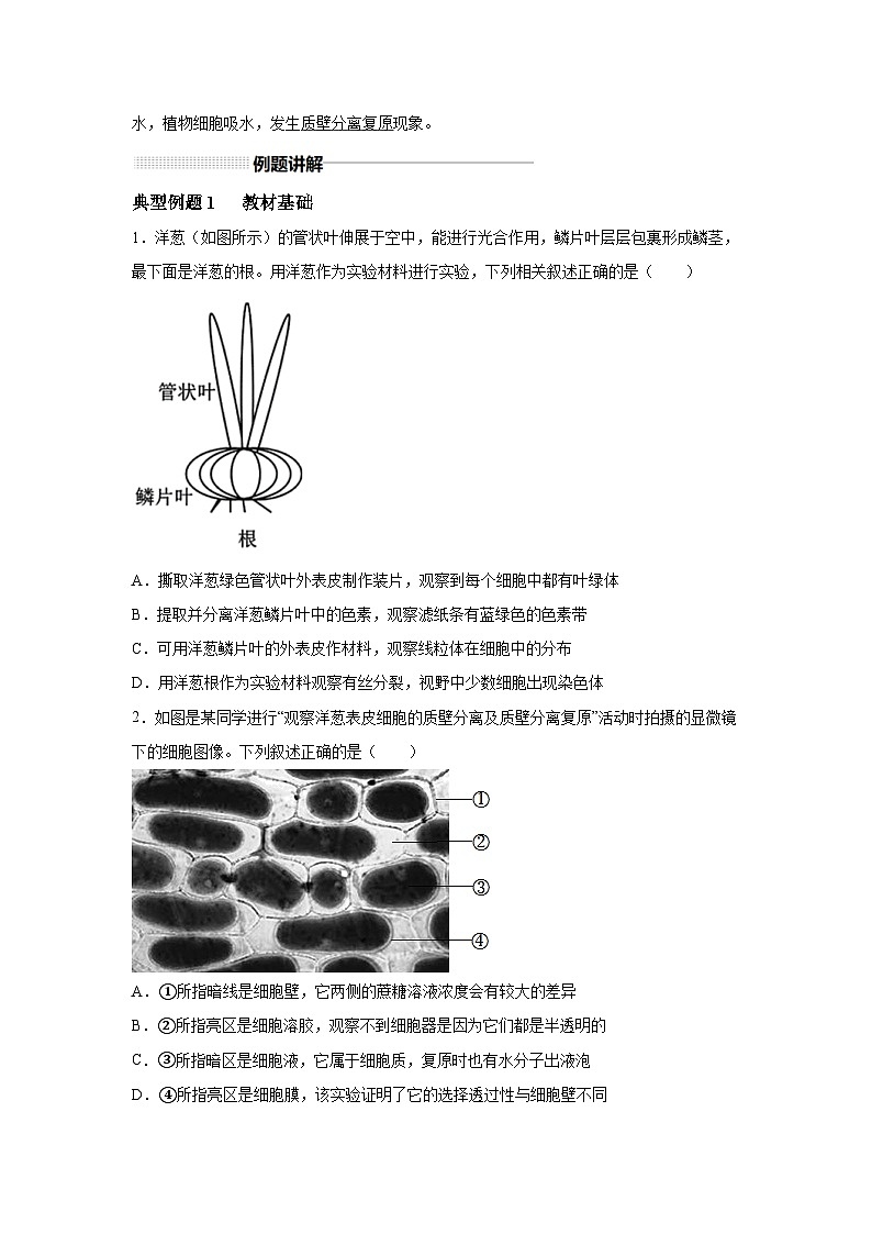 高中生物实战高考一轮复习第6讲物质运输试题含答案第2页