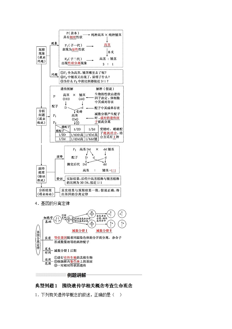 高中生物实战高考一轮复习第15讲分离定律试题含答案第2页