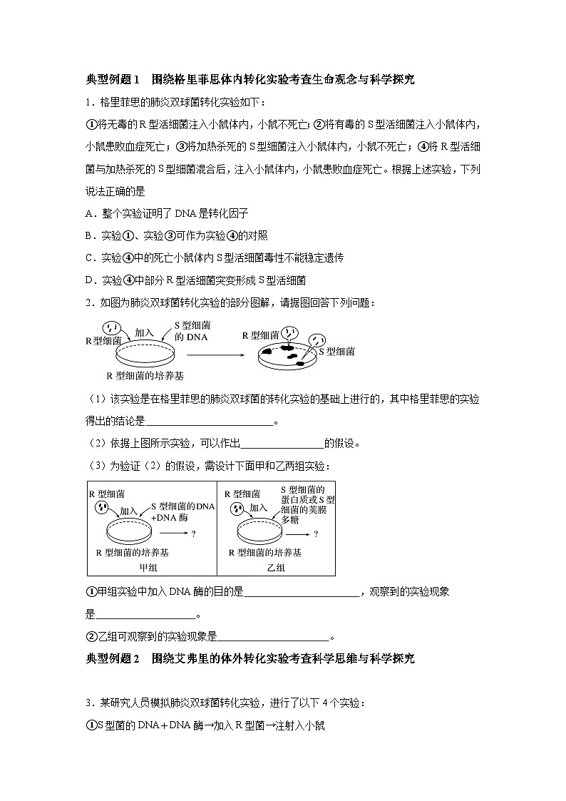 高中生物实战高考一轮复习第19讲DNA是主要的遗传物质试题含答案第2页