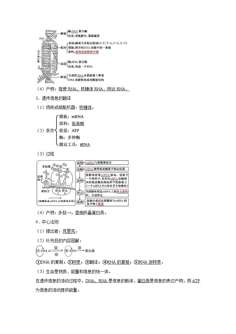 高中生物实战高考一轮复习第21讲基因的表达、基因与性状的关系试题含答案第2页