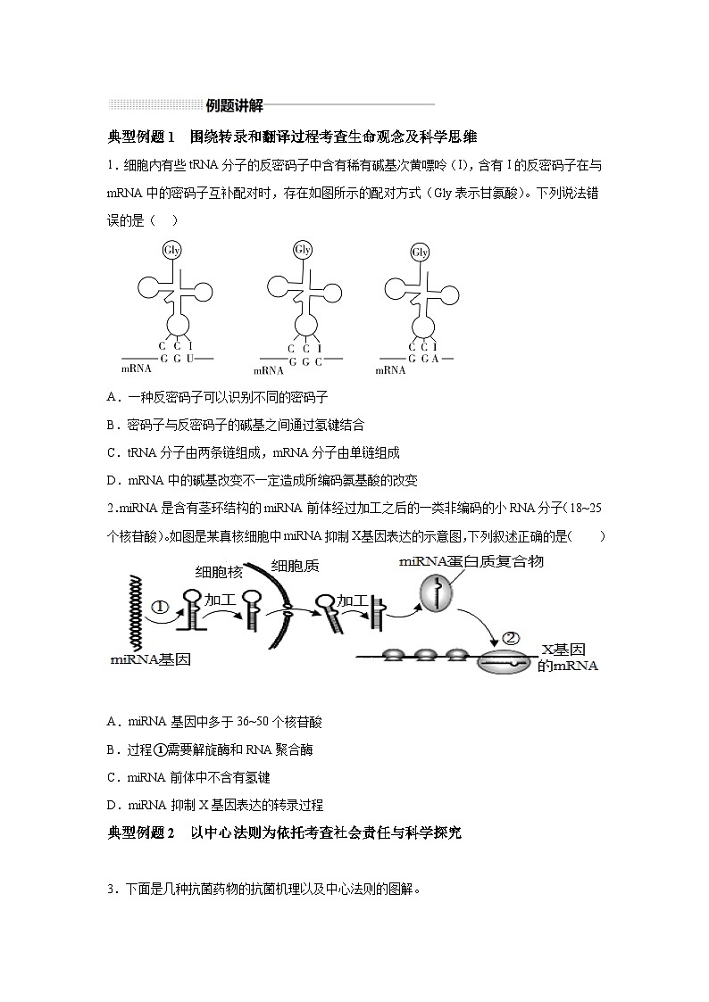 高中生物实战高考一轮复习第21讲基因的表达、基因与性状的关系试题含答案第3页
