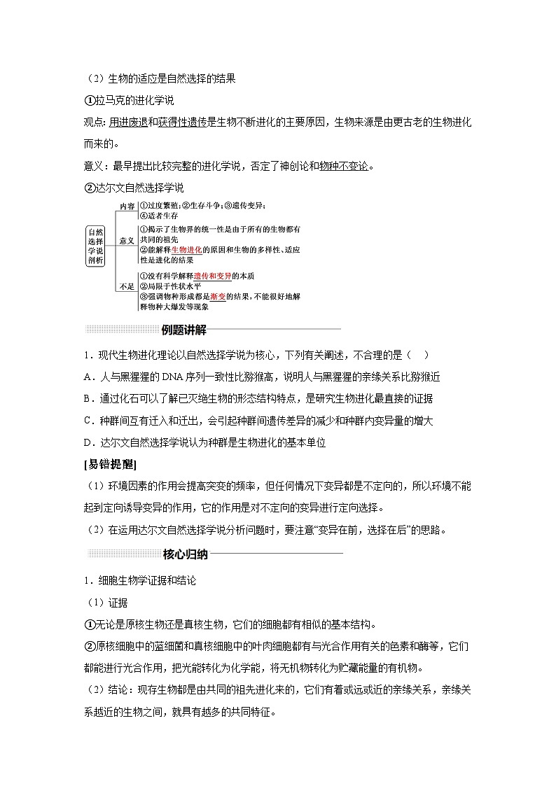 高中生物实战高考一轮复习第23讲生物的进化试题含答案第2页