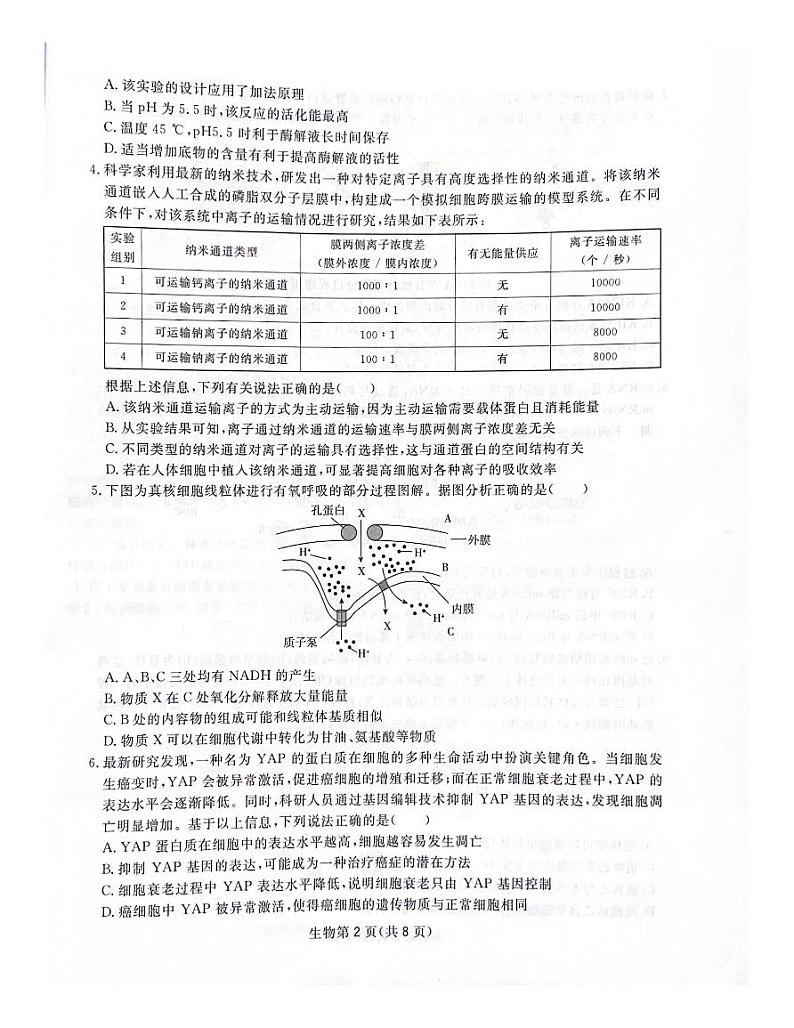 四川省2025届高三第一次教学质量联合测评第2页