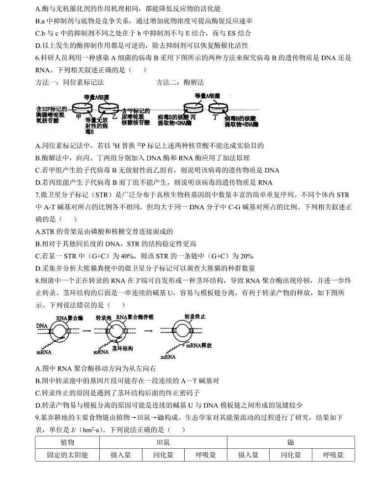 江苏省扬州市高邮市2024-2025学年高三下学期开学考试生物+答案第2页