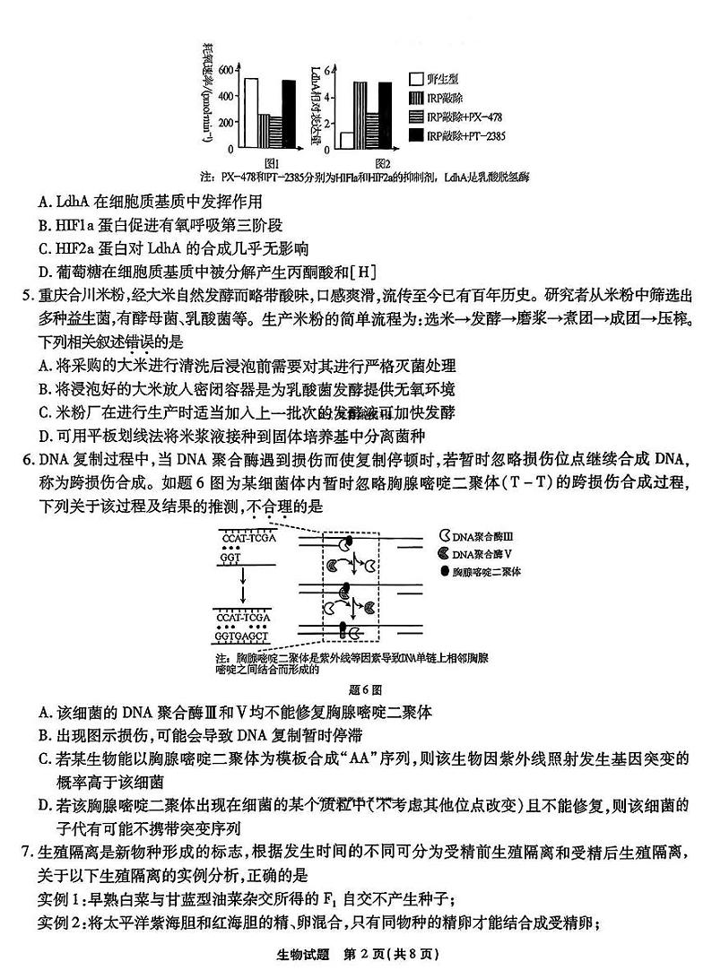重庆市南开中学2025届高三高考模拟第六次质量检测-生物试题+答案第2页