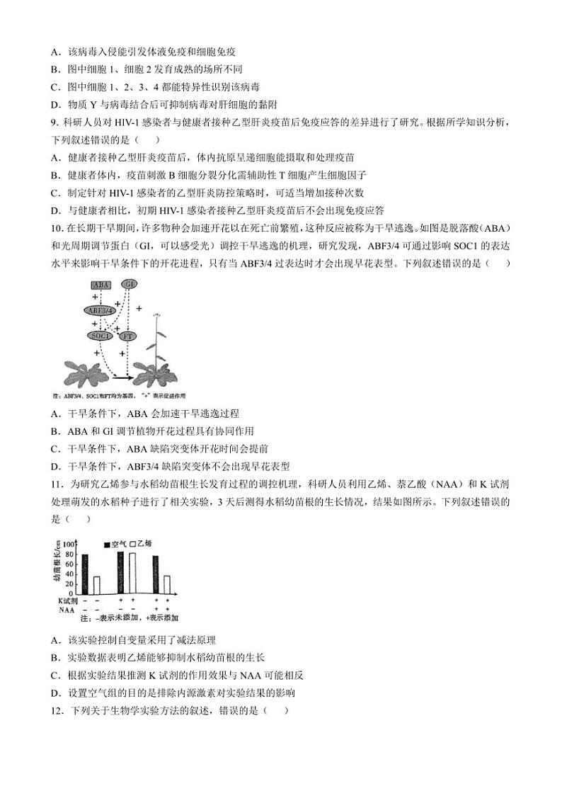 2024～2025学年四川省内江市高二上期末检测生物试卷(含答案)第3页