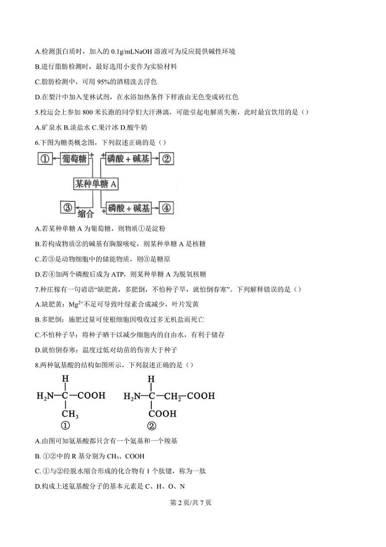2024～2025学年广东省惠州市高一上期末考试生物试卷(含答案)第3页