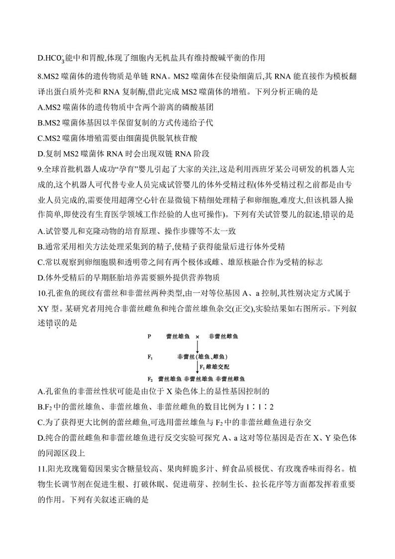 2024～2025学年安徽省阜阳市临泉县田家炳实验中学高三下开学考试生物试卷(含答案)第3页