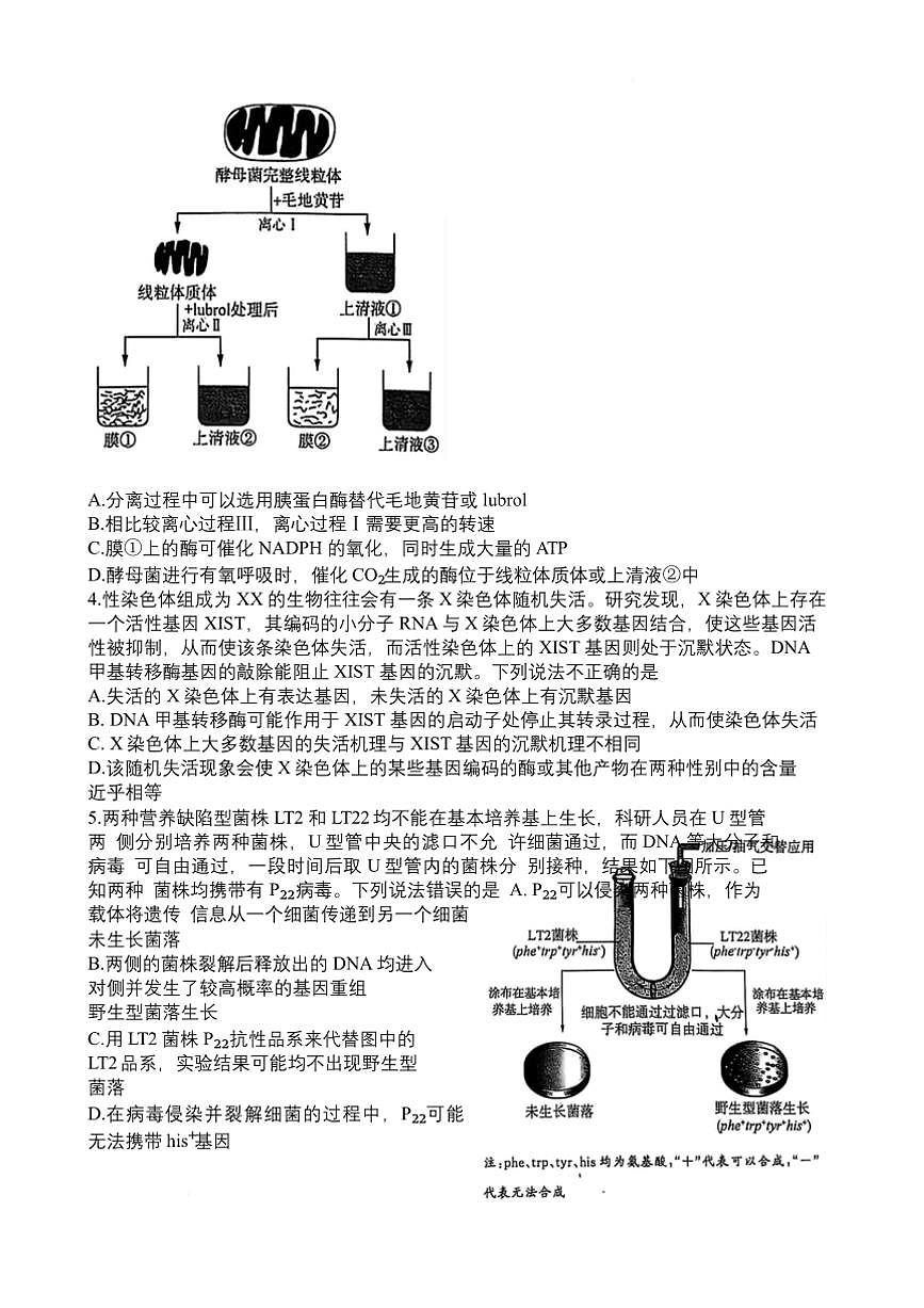 2025届山东省名校联盟高三下2月开学考试生物试卷(含答案)第3页