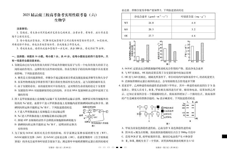 云南省昭通市第一中学等三校2025届高三下学期2月高考备考实用性联考卷（六）生物试卷（PDF版附解析）第1页