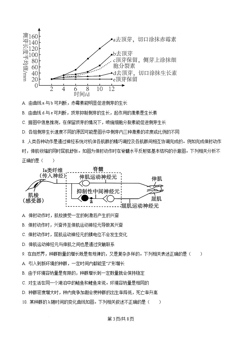 河南省许昌市2024-2025学年高二上学期1月期末考试生物试题（Word版附答案）第3页