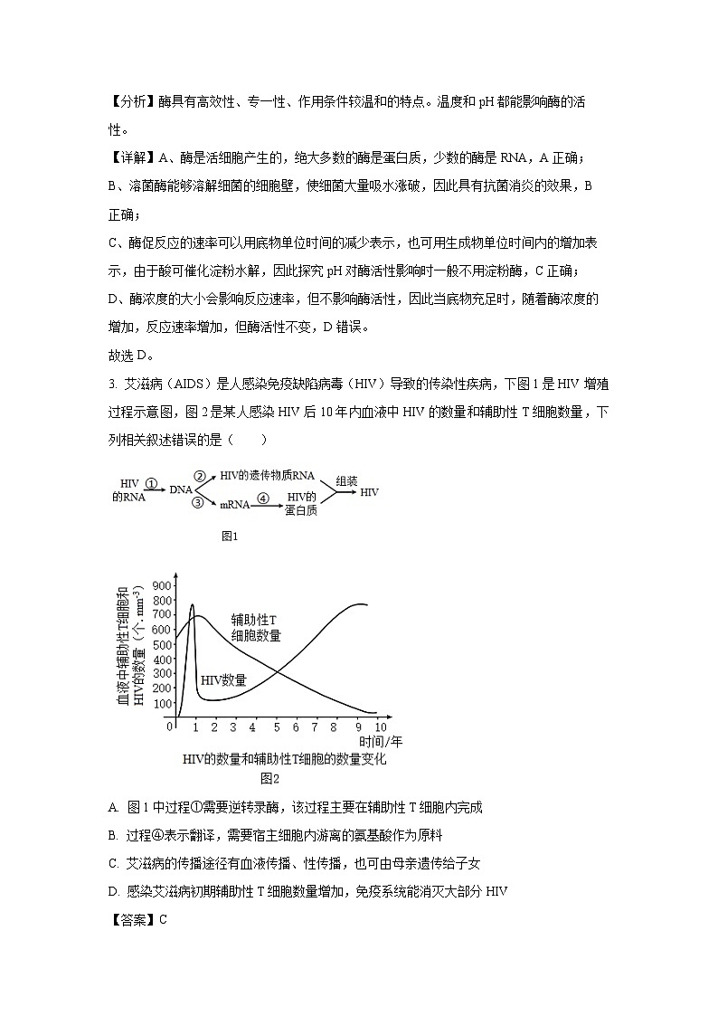 天津市和平区2024—2025学年高三上学期期末考试生物试题（解析版）第2页