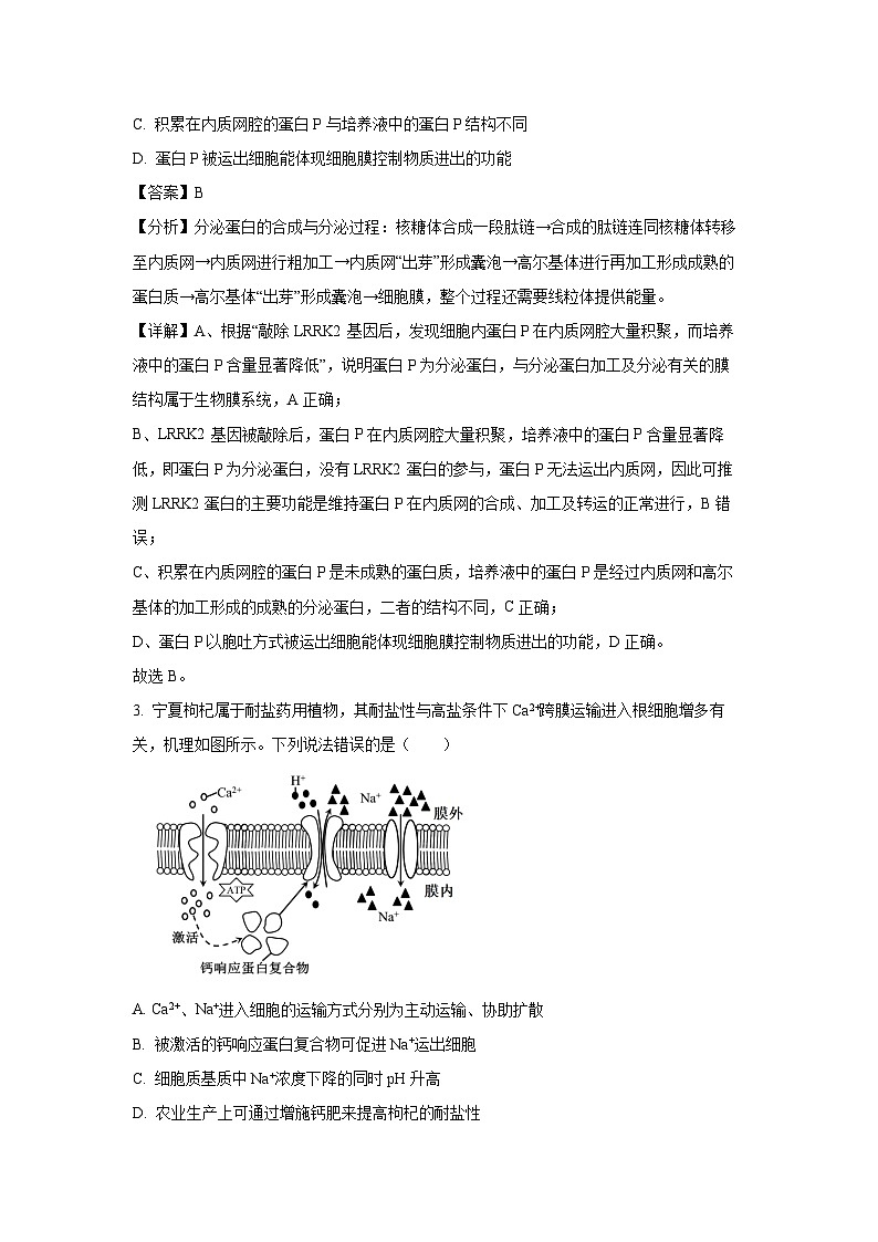 山东省烟台市2024-2025学年高三上学期期末考试生物试题（解析版）第2页