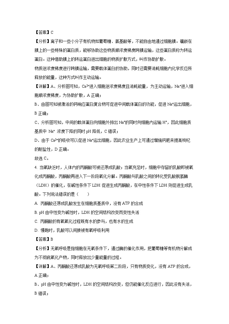 山东省烟台市2024-2025学年高三上学期期末考试生物试题（解析版）第3页