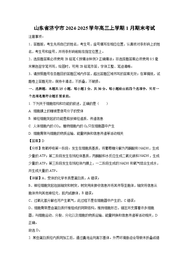 山东省济宁市2024-2025学年高三上学期1月期末考试生物试题（解析版）第1页