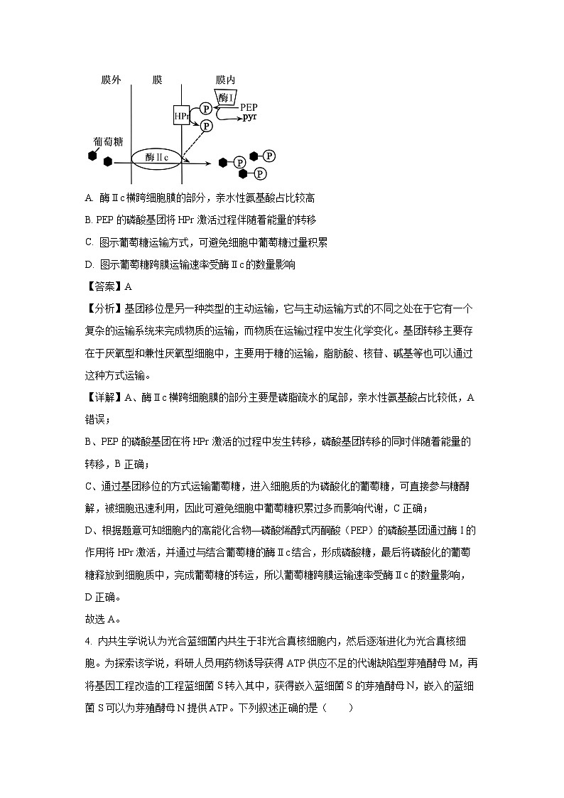 山东省济宁市2024-2025学年高三上学期1月期末考试生物试题（解析版）第3页