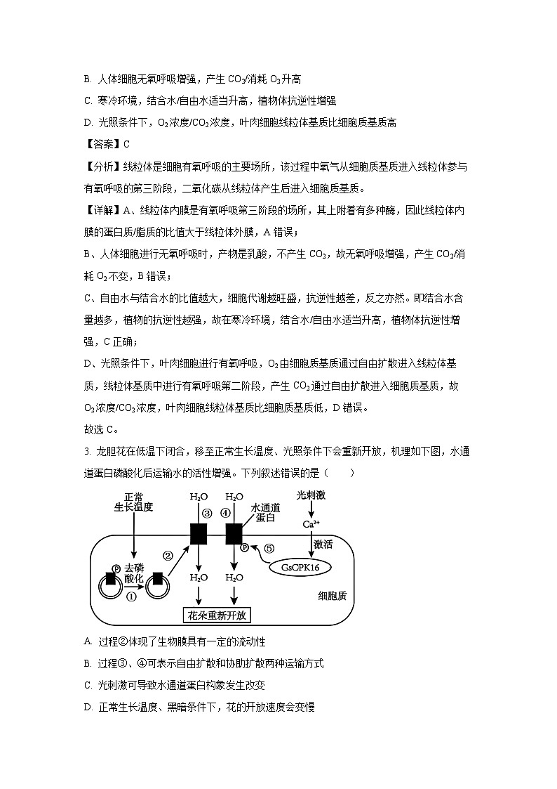 天津市河西区2024-2025学年高三上学期期末考试生物试题（解析版）第2页