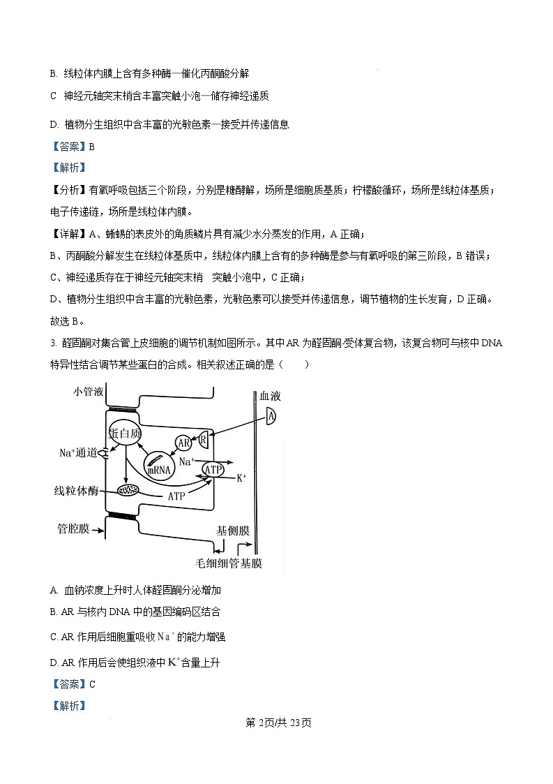 湖南省长沙市2025届高三新高考适应性生物考试试卷（Word版附解析）第2页