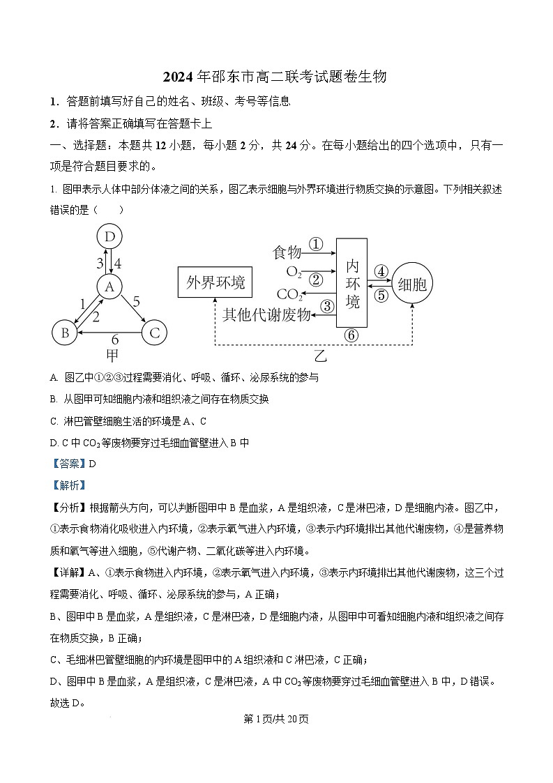 湖南省邵阳市邵东市联考2024-2025学年高二上学期1月期末生物试卷（Word版附解析）第1页