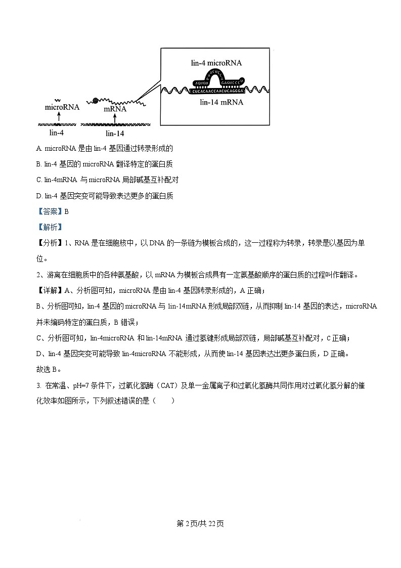 湖北省武汉市江岸区2024-2025学年高三上学期1月期末生物试卷（Word版附解析）第2页