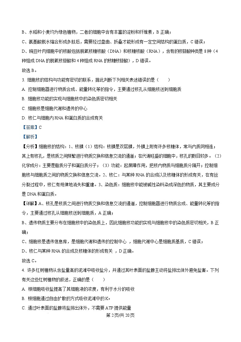 湖北省武汉市常青联合体2024-2025学年高一上学期期末考试生物试卷（Word版附解析）第2页