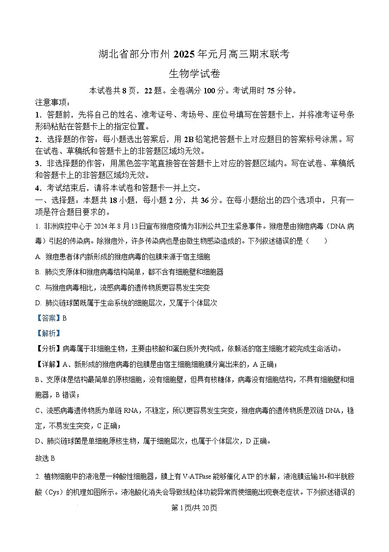湖北省部分市州2024—2025学年高三上学期期末联考生物试卷（Word版附解析）第1页