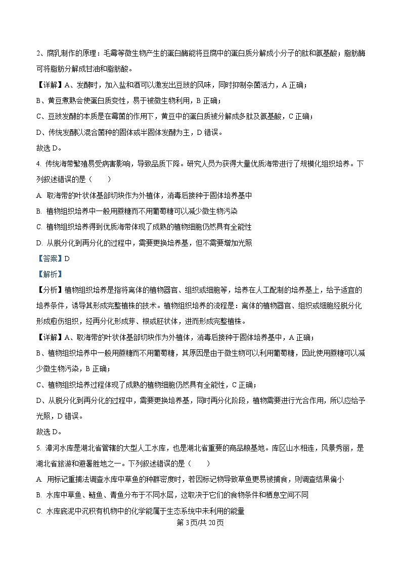 湖北省部分市州2024—2025学年高三上学期期末联考生物试卷（Word版附解析）第3页