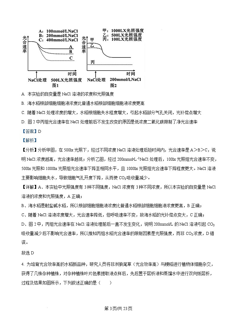 湖北省部分名校联考2024-2025学年高三上学期1月期末生物试卷（Word版附解析）第3页