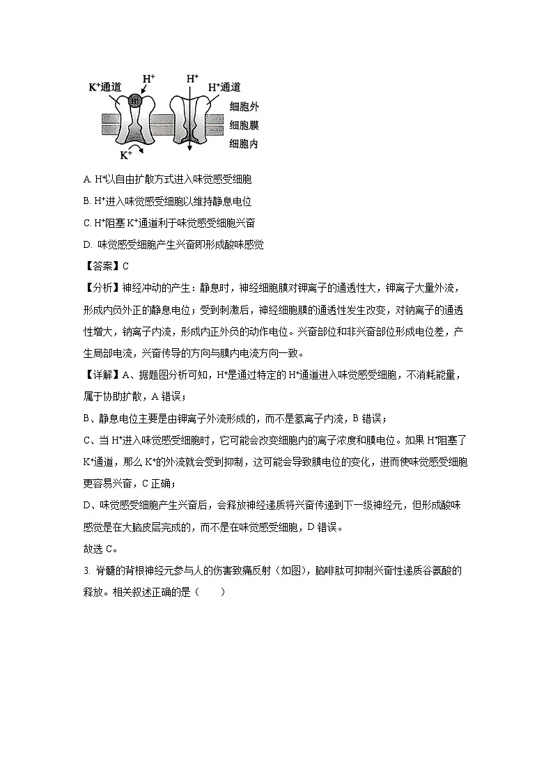 北京市西城区2024-2025学年高二(上)期末考试生物试卷（解析版）第2页