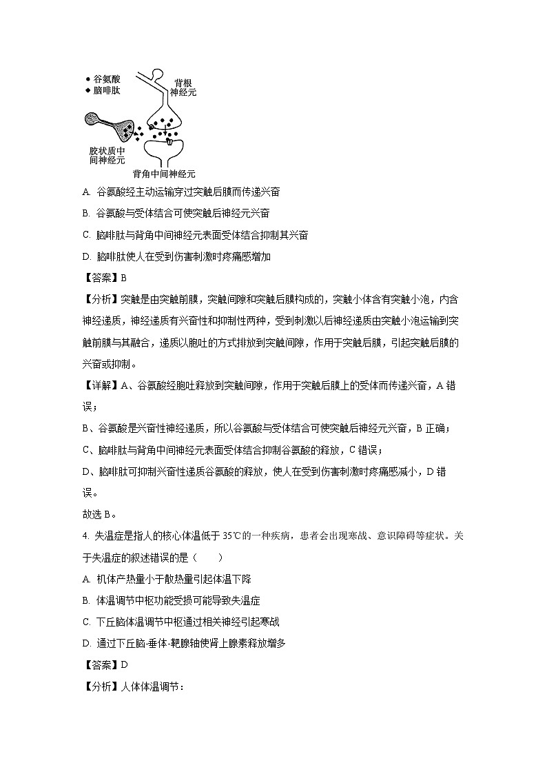 北京市西城区2024-2025学年高二(上)期末考试生物试卷（解析版）第3页