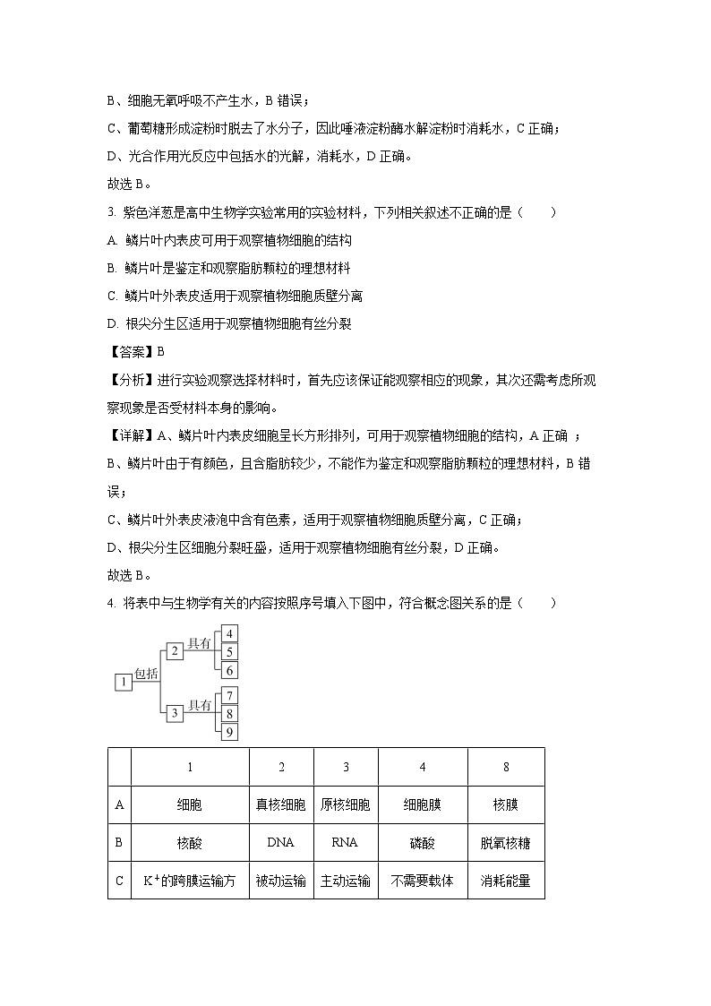北京市某校2024-2025学年高一(上)12月月考生物试卷（解析版）第2页