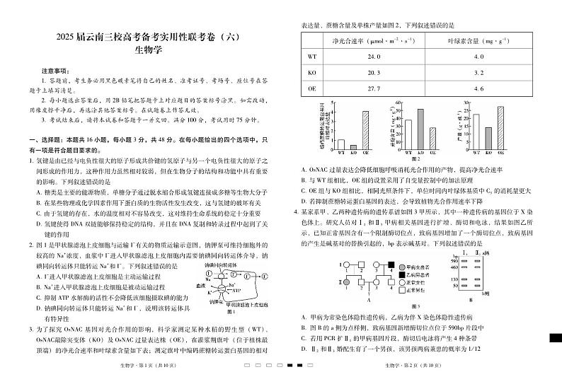 2025届云南三校高三高考模拟备考实用性联考卷（六）生物-试卷+答案第1页
