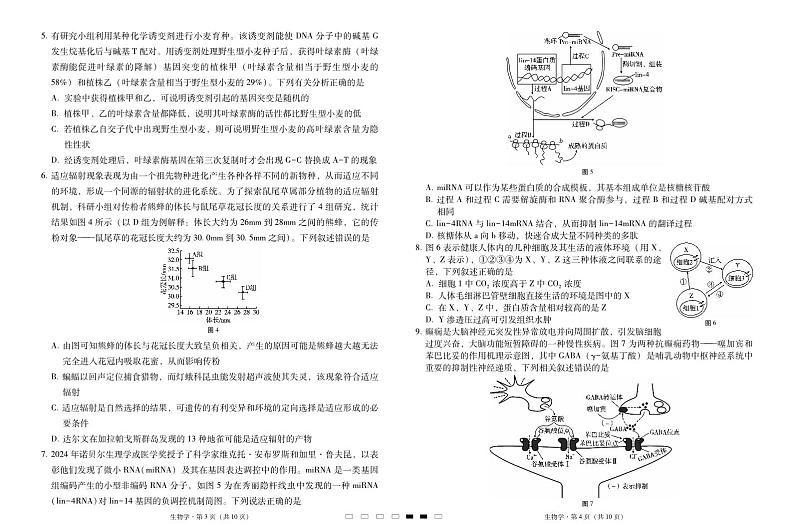 2025届云南三校高三高考模拟备考实用性联考卷（六）生物-试卷+答案第2页
