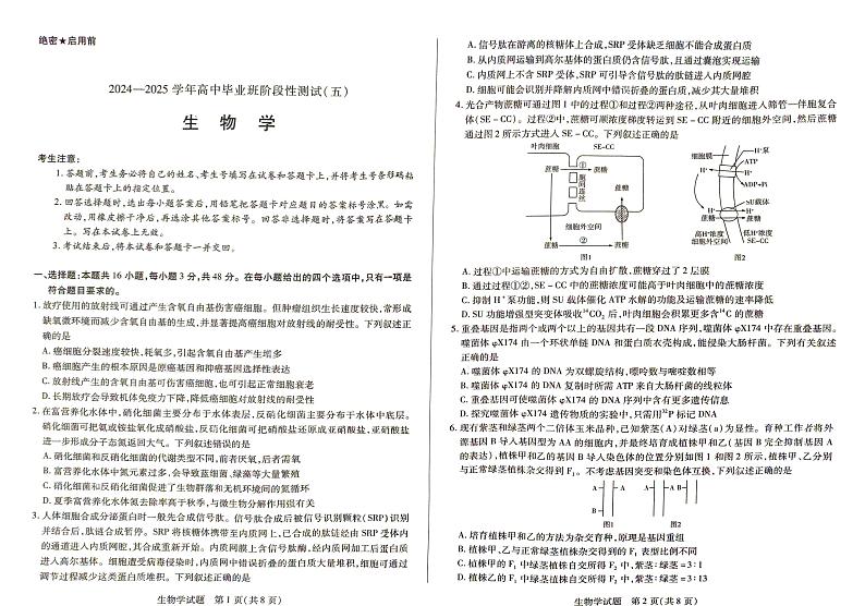 河南天一大联考2025届高三下学期阶段性测试月考（五）-生物试题+答案第1页