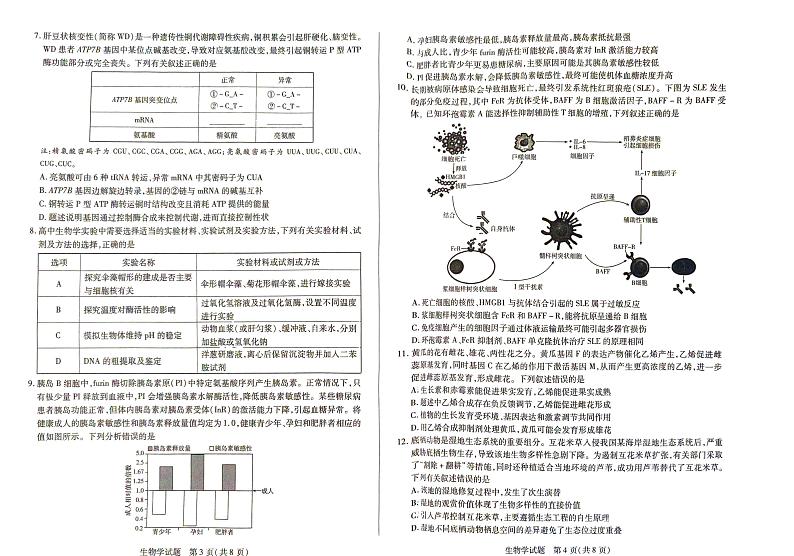 河南天一大联考2025届高三下学期阶段性测试月考（五）-生物试题+答案第2页