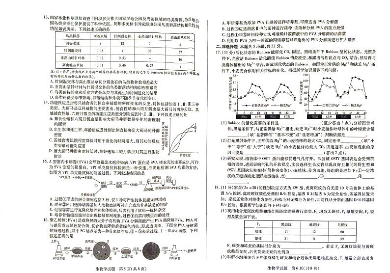 河南天一大联考2025届高三下学期阶段性测试月考（五）-生物试题+答案第3页