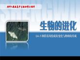 2024-2025學(xué)年高中生物同步備課課件（人教版2019）必修二6-3種群基因組成的變化與物種的形成