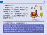 2024-2025學(xué)年高中生物同步備課課件（人教版2019）必修二6-3種群基因組成的變化與物種的形成