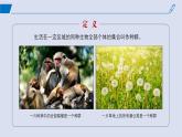 2024-2025學(xué)年高中生物同步備課課件（人教版2019）必修二6-3種群基因組成的變化與物種的形成