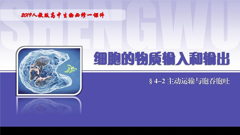 2024-2025学年高中生物同步备课课件（人教版2019）必修一4-2主动运输与胞吞胞吐第1页