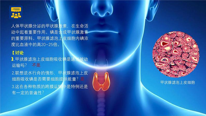 2024-2025学年高中生物同步备课课件（人教版2019）必修一4-2主动运输与胞吞胞吐第2页