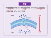 2024-2025学年高中生物同步备课课件（人教版2019）必修一4-2主动运输与胞吞胞吐