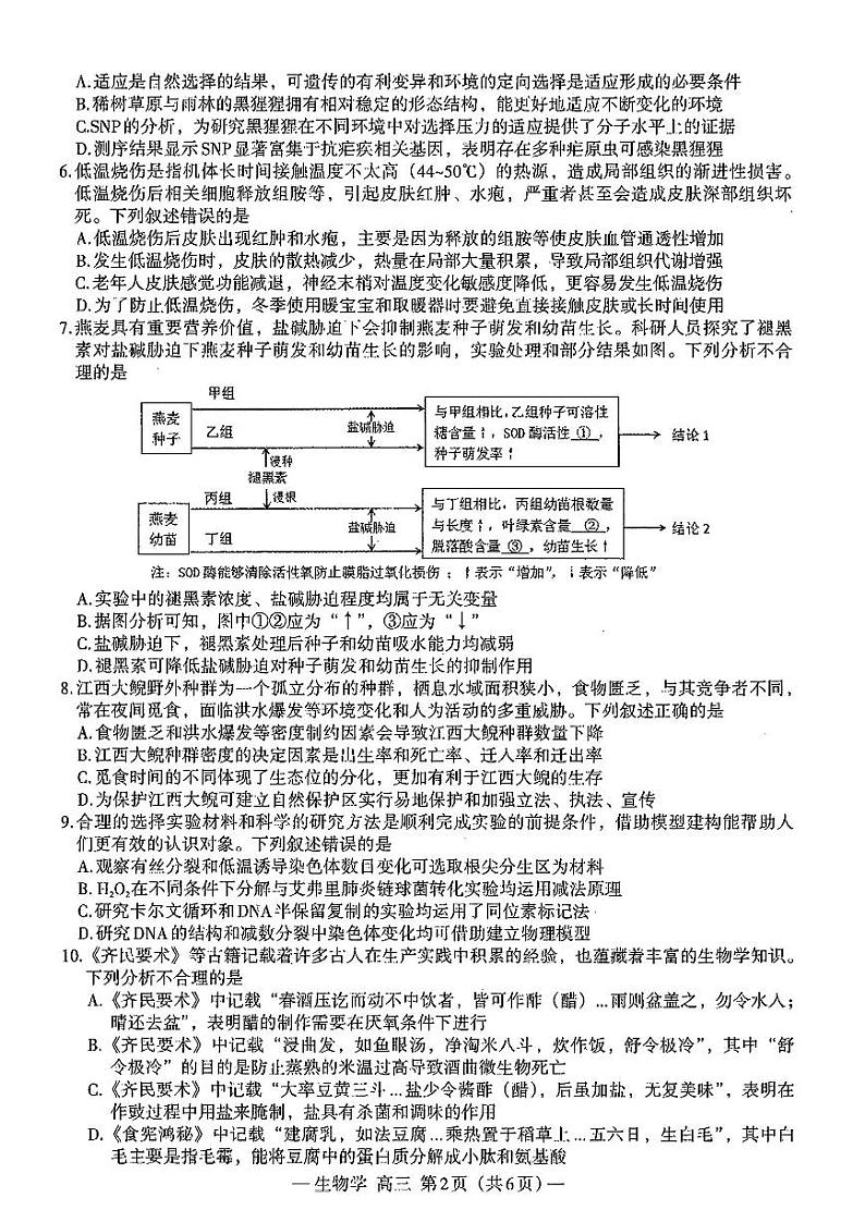 2025届江西省南昌一模 南昌市高三模拟测试 生物试题及答案第2页