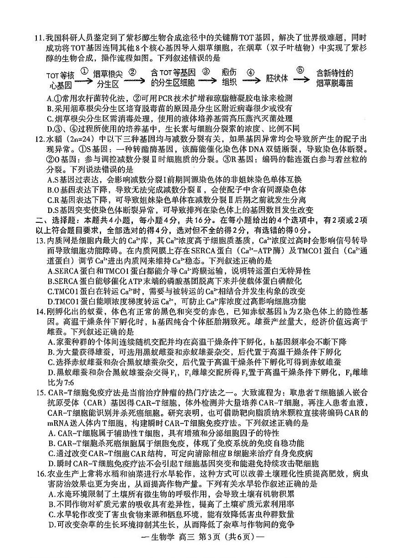 2025届江西省南昌一模 南昌市高三模拟测试 生物试题及答案第3页