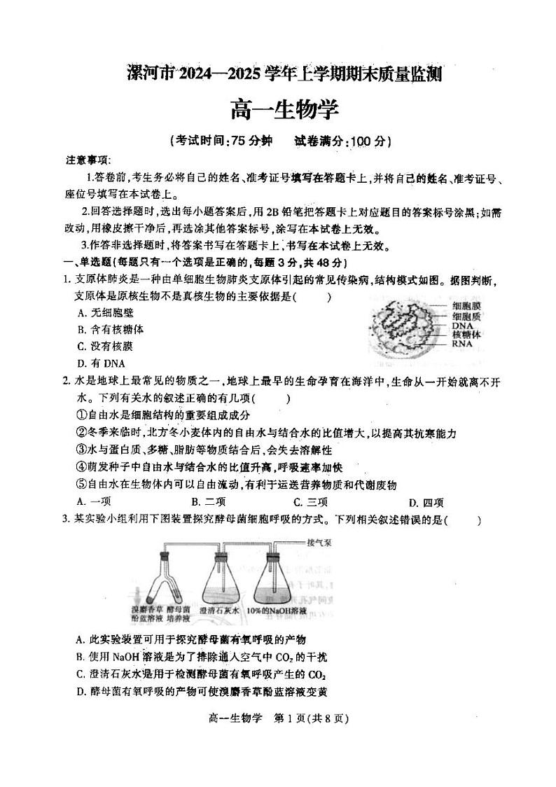 2025漯河高一上学期期末考试生物PDF版含答案第1页